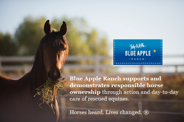 Toby Wells Blue Apple Ranch beings youth and animals together through innovative programs that build compassion and responsbility while connecting with nature.